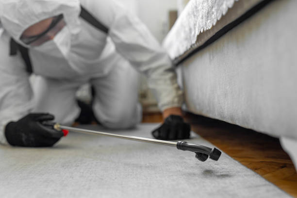 Professional Bed Bug Control technician working in Indian Head Park, IL