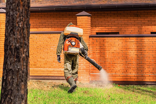 Trusted Cockroach Control service in Indian Head Park, IL - Nex Pest Control